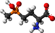 Глюфосинат аммоний - Трехмерная модель молекулы