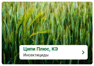 Инсектоакарицид Ципи Плюс