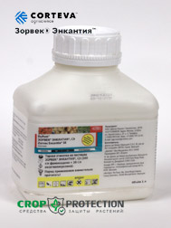 Зорвек Энкантия, СЭ 1л.