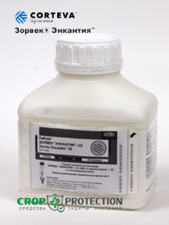Зорвек Энкантия, СЭ 1л.